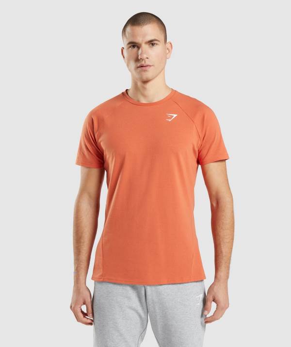 Panske Tricka Gymshark Critical Oranžové | TH4283756